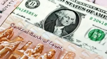 خريطة أسعار الدولار في البنوك المصرية وتفاصيل حركات البيع والشراء اليوم